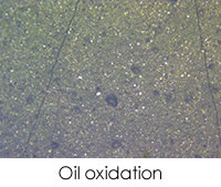 在再潤滑量和/或頻率不足是通過過早的油氧化、摩擦聚合物、粘性磨損碎片、回火顆粒和黑色氧化鐵顆粒來診斷或確認的